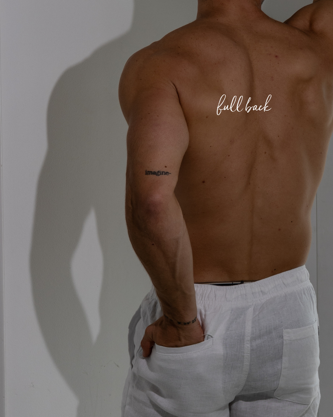 FullBack.png